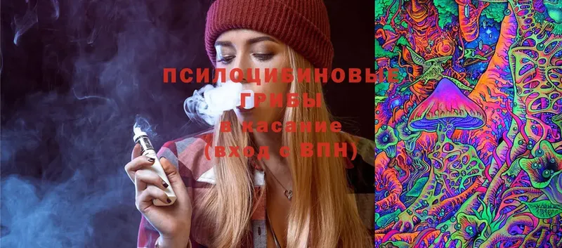 Псилоцибиновые грибы Psilocybine cubensis  наркотики  Уяр 